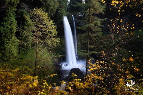 2024 Guide To North Falls Oregon In Silver Falls State Park ⋆ We Dream