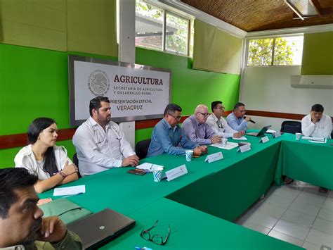 Octava Reunión De Las Instancias Del Sector Coordinado Agricultura Veracruz Representación