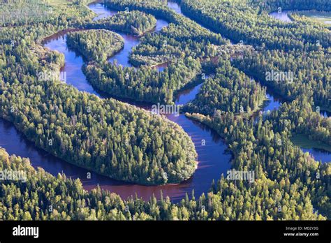 Forest Plain River Stock Photo Alamy