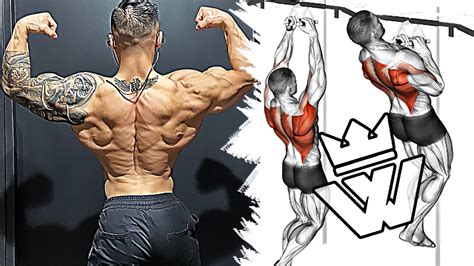 5 Best Back Workouts For Building Width And Definition