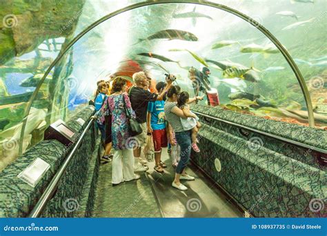 Underwater World In Singapore Editorial Image Image Of People Woman