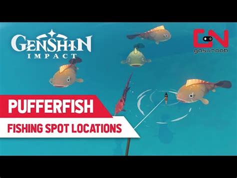 Pufferfish Locations Genshin Impact Fishing Spots Which Bait To Use