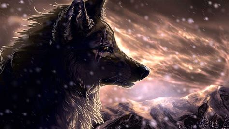 The Coolest Wolf Wallpapers Wolf Wallpaperspro