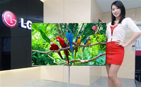 Lg Slashes 55 Inch Oled Tv Price By 50 Percent In Just A Few Months