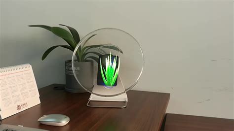 30cm 3d Hologram Fan Led Hologram 3d Led Fan With Cover Holographic Advertising Light Hologram