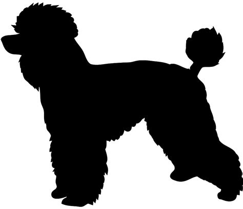 Free Standard Poodle Silhouette Download Free Standard Poodle