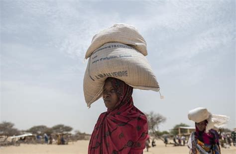 Scaling Up The Eus Response To Soaring Hunger In West Africa
