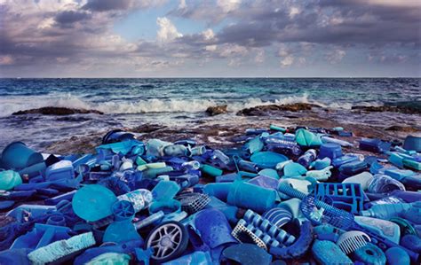 Artist Turns Found Plastic Into Brilliant But Haunting Landscape