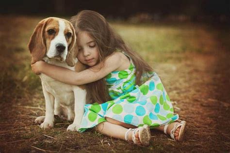 Are Beagles Affectionate