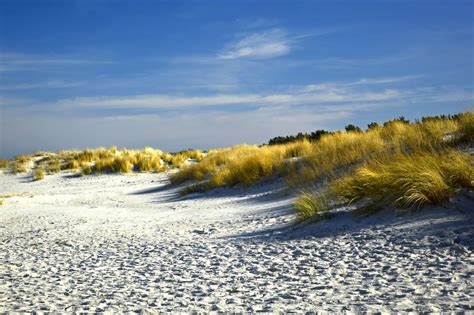 Free Download Dunes Dune Landscape Beach Sand Beach Marram Grass