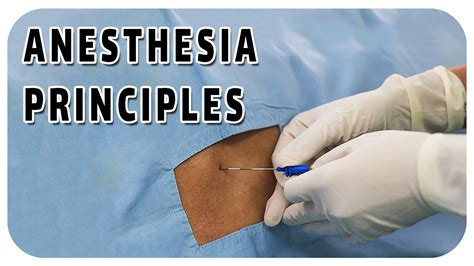 The Art And Science Of Anesthesia Unveiling Fundamental Principles
