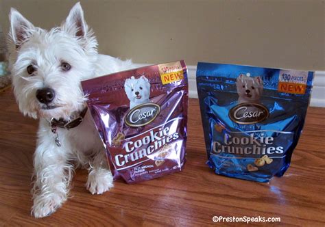 Here is a quick overview of their different offerings and their different products. Cesar Canine Cuisine Cookie Crunchies Review and Giveaway ...