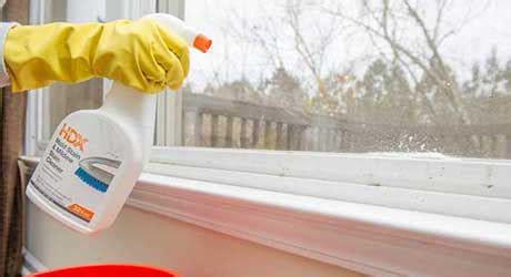 How To Get Rid Of Mildew