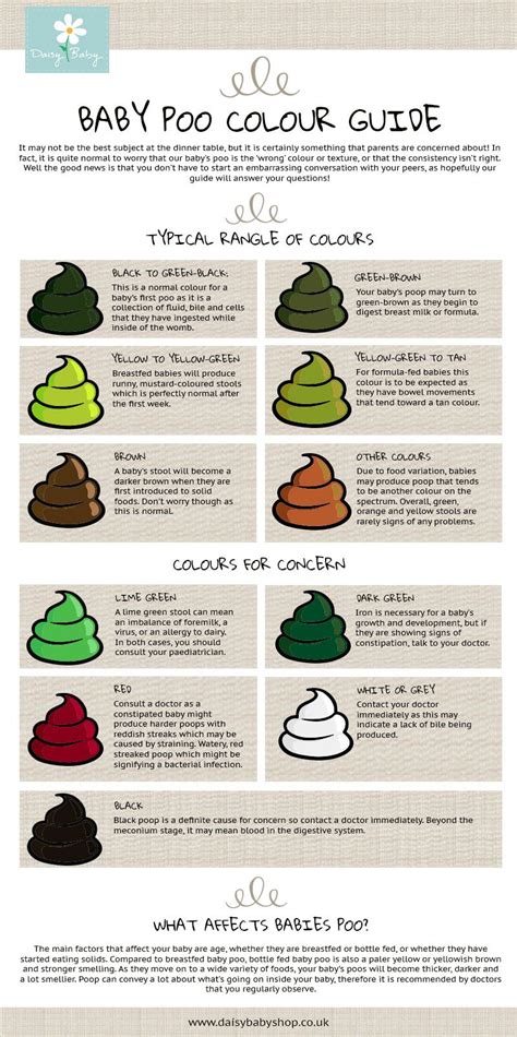 Why Is My Poop Green Stool Colors Explained Pin On Baby Tips Baby