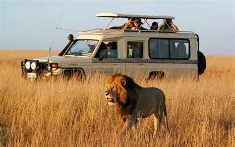 Os 10 Melhores Fornecedores De Safári De 2018 Safari Travel African Safari Tour Kenya Safari
