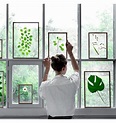 Fensterdeko Sommer – Kreative Bastelideen fürs Fenster