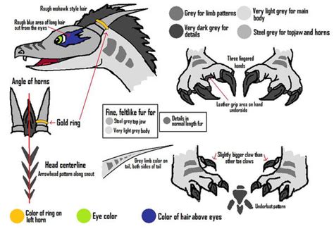 Raptor Fursuit Reference Sheet