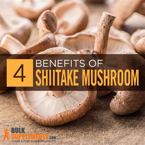 Shiitake Mushroom Extract Benefits Side Effects And Dosage