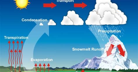 Penguapan atau evaporasi adalah bagian esensial dari siklus air. Pengertian Evaporasi, Kondensasi, Transpirasi dan Gutasi ...