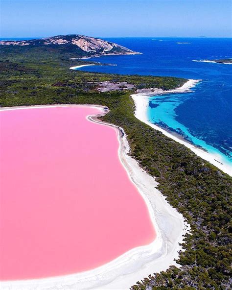 Η ροζ λίμνη της Αυστραλίας Φωτογραφία της ημέρας