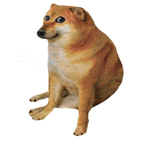 Months Ago I Created Deems A Hybrid Between Doge And Cheems It Was