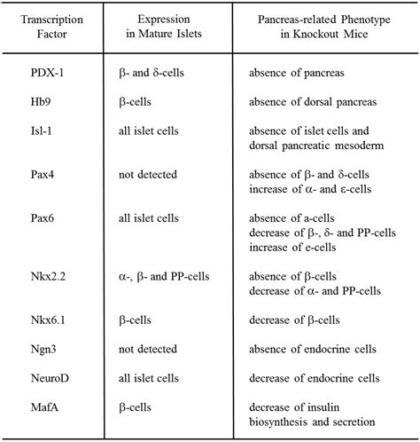 Ijms Free Full Text Role Of Pancreatic Transcription Factors In