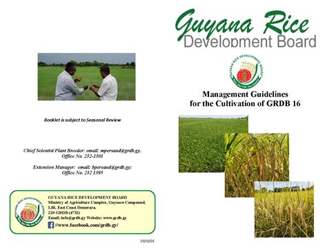 Management Guidelines For The Cultivation Of Grdb 16 Guyana Rice