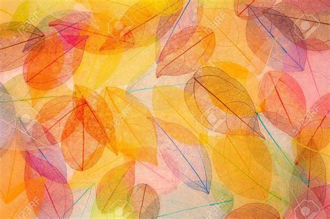 Abstract Autumn Background Beautiful Leaves Texture Stock Photo Aff