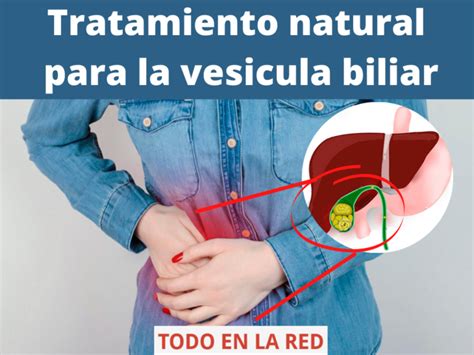 Tratamientos Naturales Y Caseros Para La Ves Cula Biliar Todo En La Red