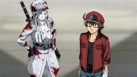 Aggregate More Than 71 White Blood Cells Anime Vn