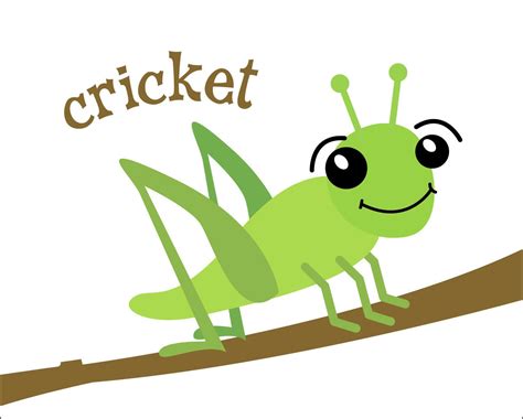 Free Cricket Insect Cartoon Download Free Cricket Insect Cartoon Png