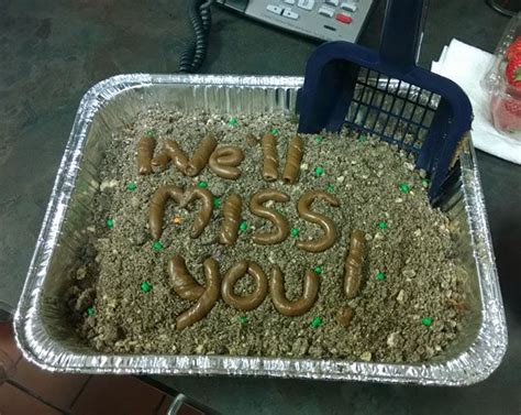 2 what to include in the letter? 30 Of The Funniest Farewell Cakes You'll Ever See