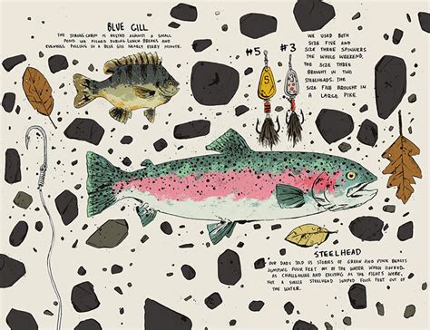 Illustrated Fish Journal On Behance