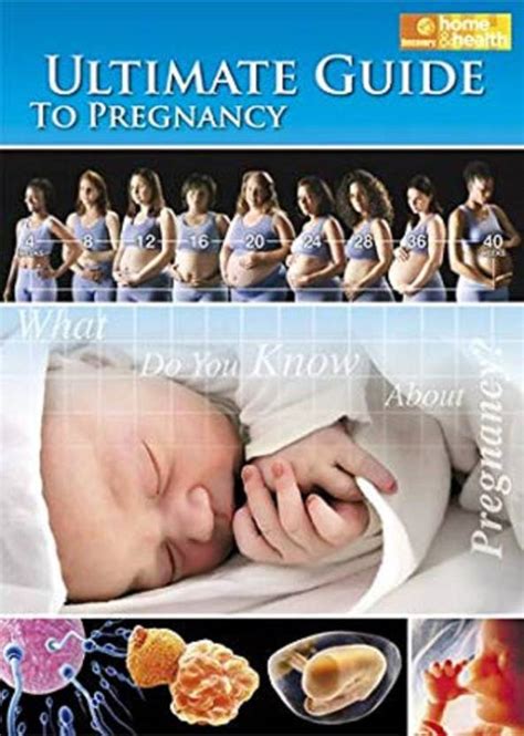 The Ultimate Guide To Pregnancy Dvd Region A Price In India Buy The Ultimate Guide To