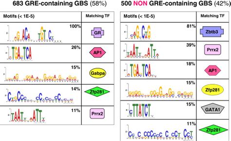 meme de novo motif discovery within gbs a motifs for transcription download scientific