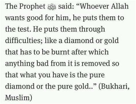 Hazrat Muhammad Saw Quotes Shortquotes Cc