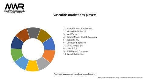 Vasculitis Market 2024 2032 Sizeshare Growth