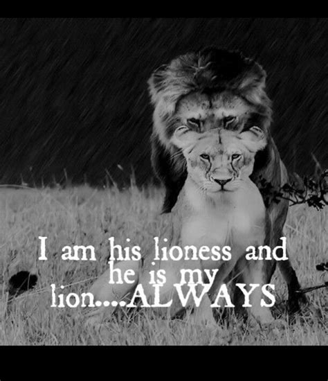 Pin By Diana Fox On Lioness Quotes Lion Quotes Lioness Quotes Lion Love