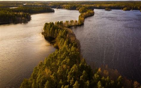 Aerial View Of Green Trees River Path Forest Hd Nature Wallpapers Hd