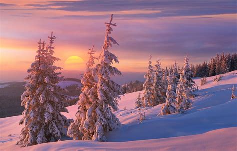 Snowy Christmas Sunset Wallpapers 4k Hd Snowy Christmas Sunset