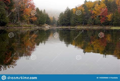 Reflection Of Colorful Forest Stock Photo Image Of Calm Mountain