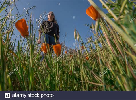 Die Ansicht Von Unten Stockfotos Und Bilder Kaufen Alamy