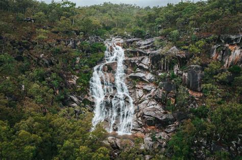 8 Reasons To Visit Atherton Tablelands Near Cairns Australia Drink