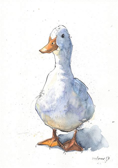 Curious White Duck Original Pen And Ink Drawing Watercolour Painting