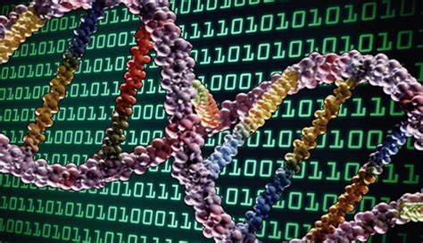 DNA Is Our New Data Storage Technique MessageToEagle Com