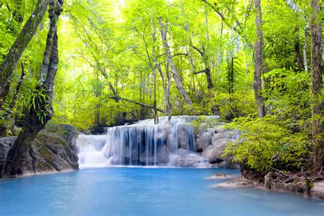 Waterfall River Waterfall Emerald Forest Landscape Forest Wallpaper 1