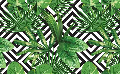 Tropical Leaf Wallpaper Designs