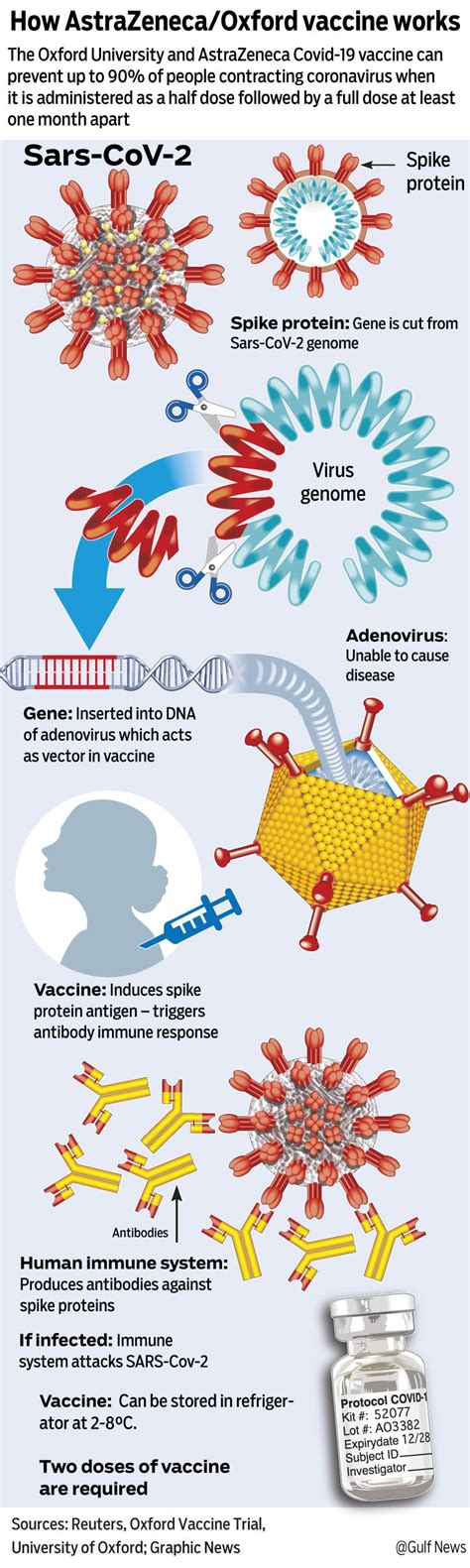 Astrazeneca Coronavirus Vaccine Up To Effective Europe Gulf News