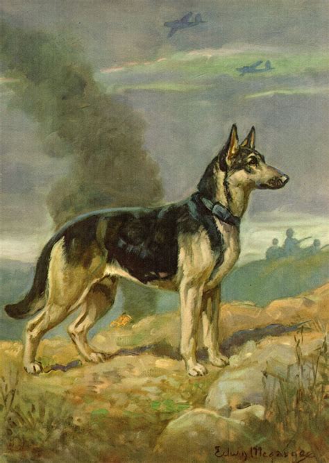 Antique German Shepherd Print T For Dog Lover Lodge Cabin Decor