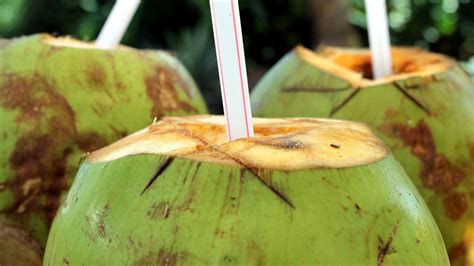Thai Exports Lead Way As Chinas Coconut Market Sees Continued Growth